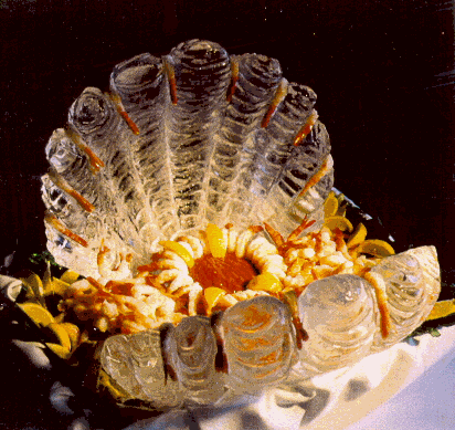 TNSEA SHELL